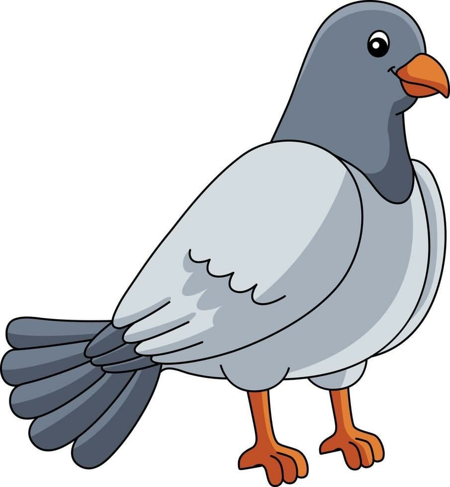 Answer Image