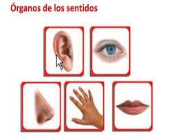 placeholder image to represent content