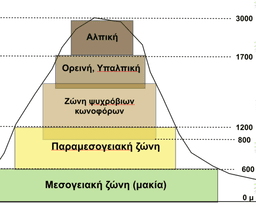 placeholder image to represent content