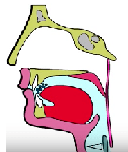 placeholder image to represent content