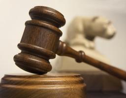 placeholder image to represent content