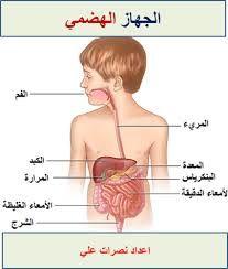 placeholder image to represent content