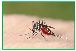 placeholder image to represent content