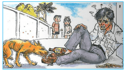 placeholder image to represent content