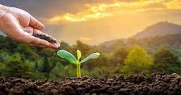 placeholder image to represent content