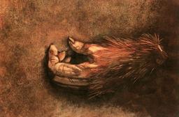 placeholder image to represent content