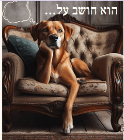 placeholder image to represent content