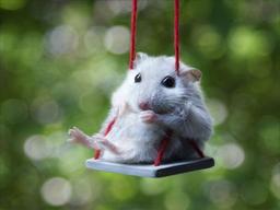 placeholder image to represent content