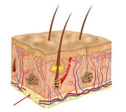 placeholder image to represent content