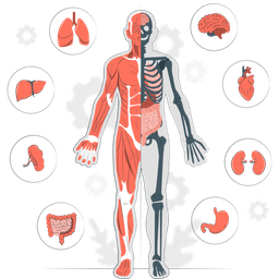 placeholder image to represent content