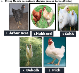 placeholder image to represent content