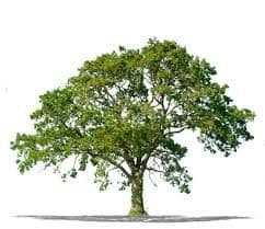 placeholder image to represent content