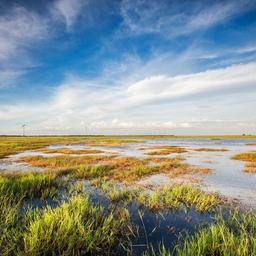 placeholder image to represent content