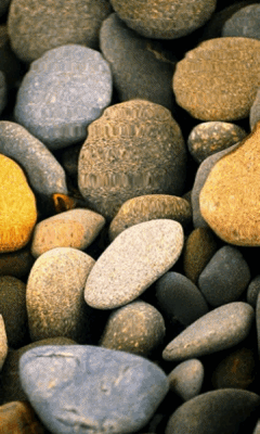 placeholder image to represent content