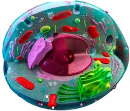 placeholder image to represent content