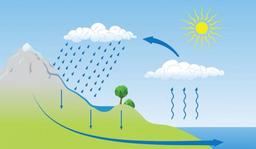 placeholder image to represent content