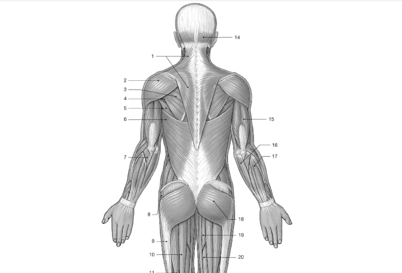 Question Image
