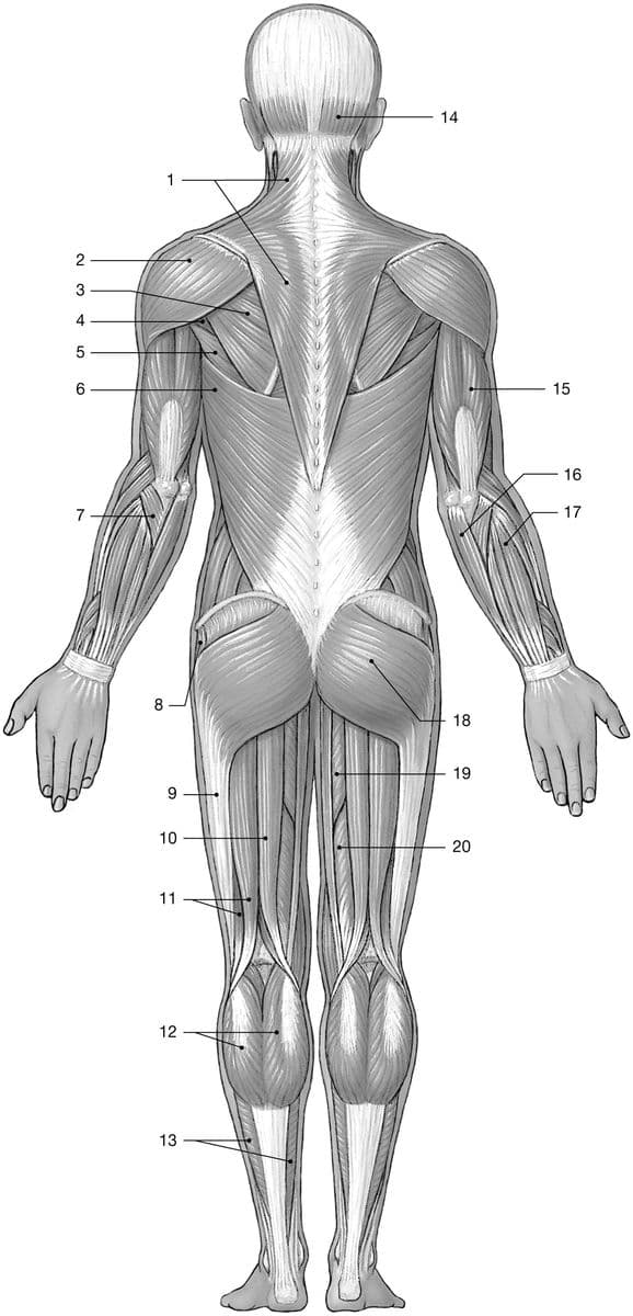Question Image