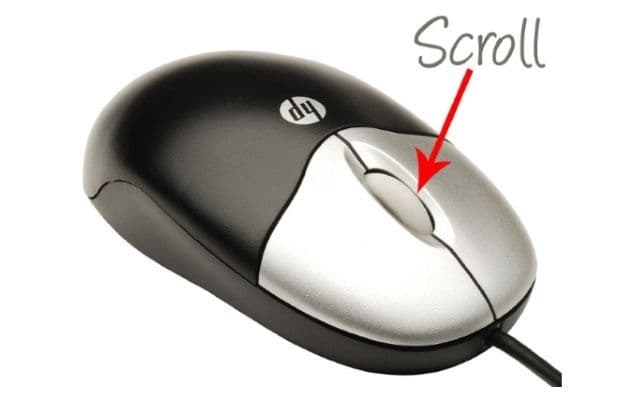 Question Image