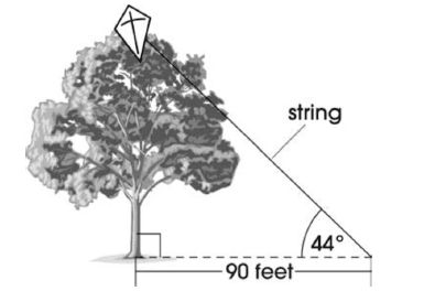 Question Image