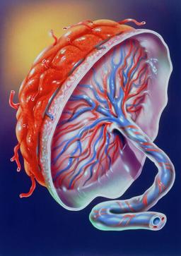 placeholder image to represent content