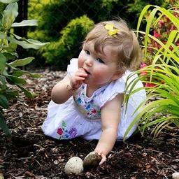 placeholder image to represent content