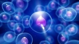 placeholder image to represent content