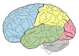 placeholder image to represent content