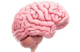 placeholder image to represent content