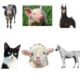 placeholder image to represent content