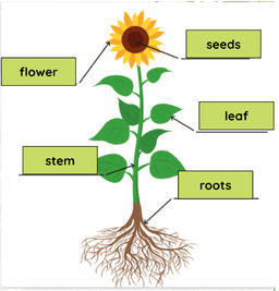 placeholder image to represent content