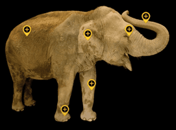 placeholder image to represent content