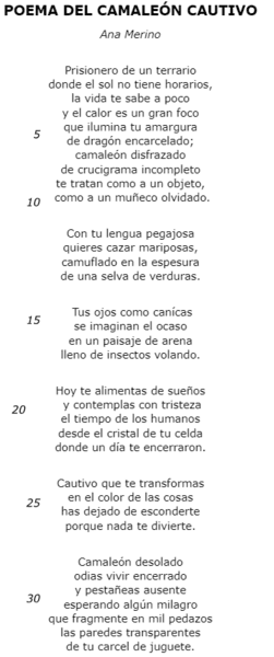 placeholder image to represent content