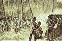 placeholder image to represent content