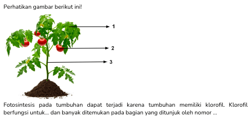 Question Image