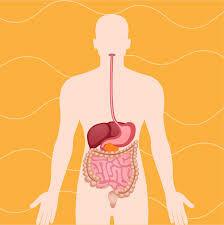 placeholder image to represent content