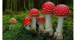 placeholder image to represent content