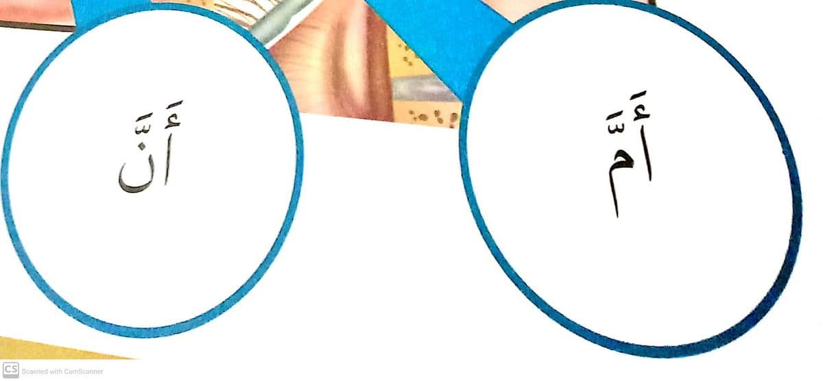 Question Image