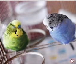 placeholder image to represent content