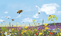 placeholder image to represent content