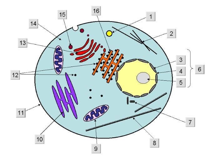 Question Image