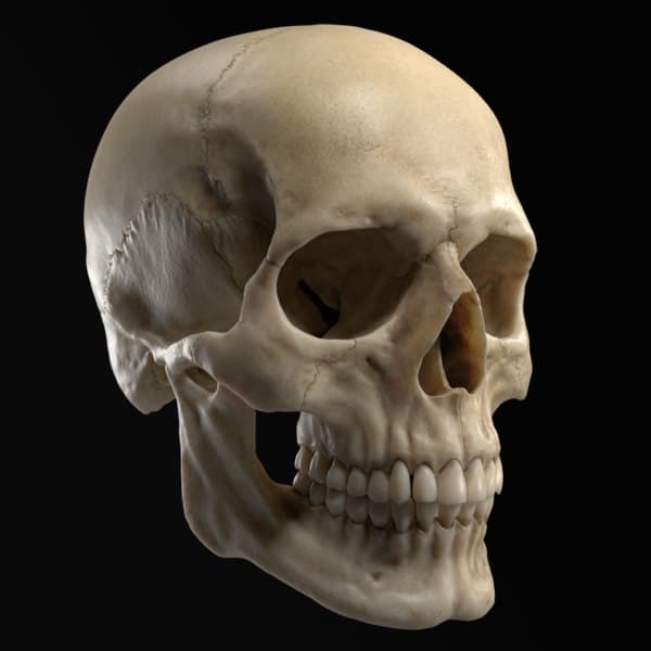 Question Image