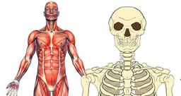 placeholder image to represent content