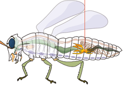 placeholder image to represent content