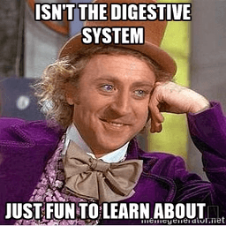 placeholder image to represent content