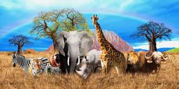 placeholder image to represent content