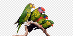 placeholder image to represent content