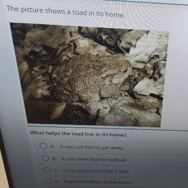 Question Image