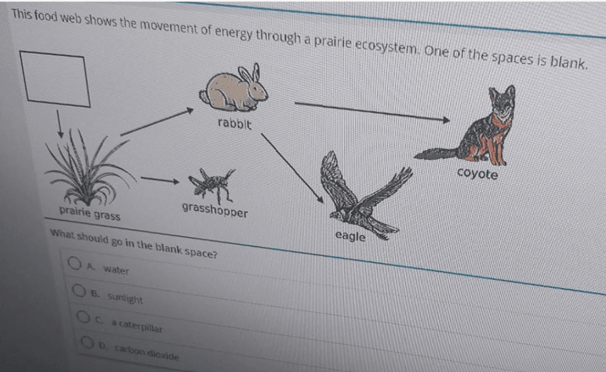 Question Image
