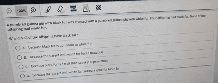 Question Image